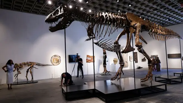 The Cost of the Most Expensive Tyrannosaurus Rex in History