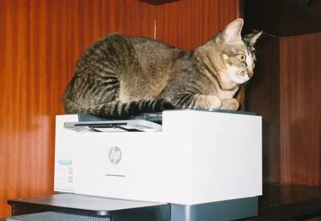 Цена рыночного доминирования HP в Индии