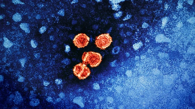 Biological Signatures of Cellular Degradation
