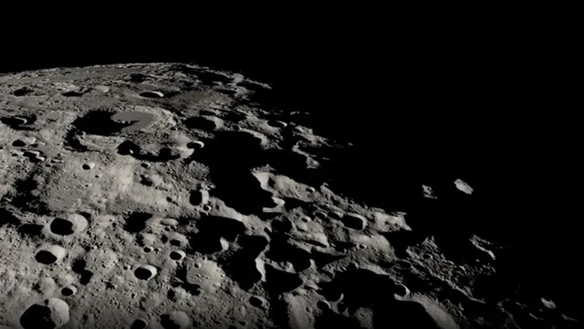 The Limits of Terrestrial Survival on the Moon
