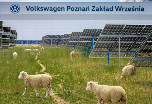 Biological Management of Solar Power Plants
