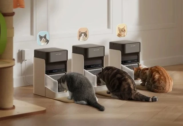 The Fragility of Smart Pet Care Infrastructure
