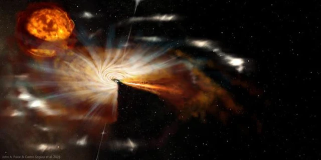 The Mechanics of Selective Appetite in Black Holes