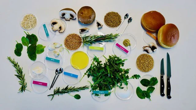 A Diffusion Approach to the Perfect Taste
