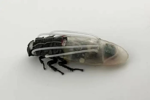 Underwater Exosuits for Cybernetic Insects
