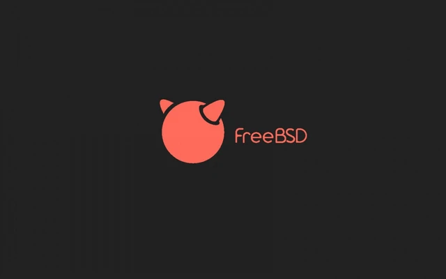 Intelligent Vulnerability Discovery in the FreeBSD Kernel