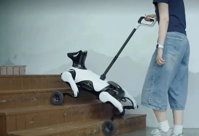 Robotic Guide for the Visually Impaired