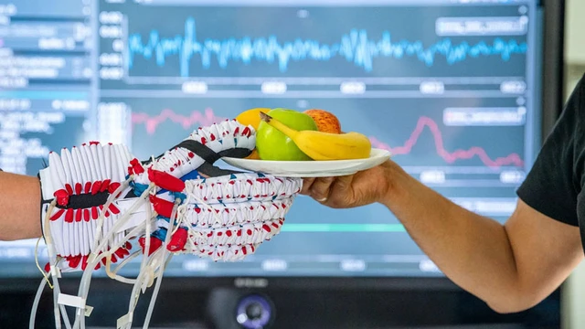 Soft Robotic Exoskeleton for Hand Function Restoration
