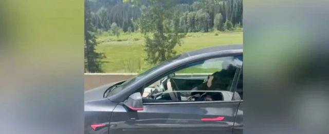 The Illusion of Safety in Tesla’s Control Systems