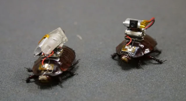 Bionic Emergency Medical Response Systems