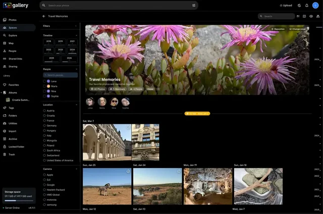 Noodle Gallery Enhances Immich's Capabilities