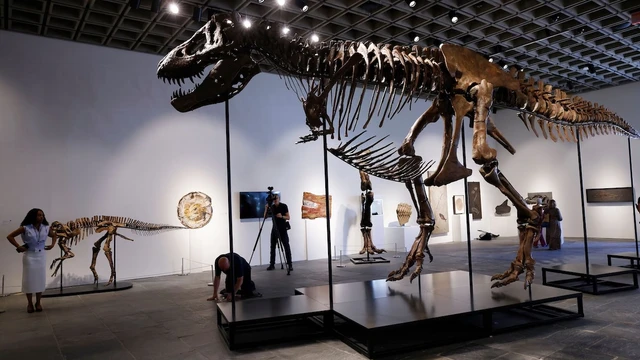 The Cost of the Most Expensive Tyrannosaurus Rex in History
