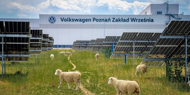 The Symbiosis of Solar Energy and Pastoral Land
