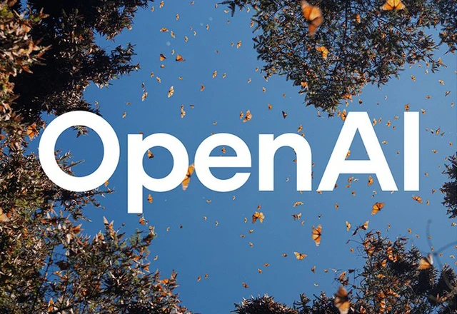 The Horizons of OpenAI's Public Capital
